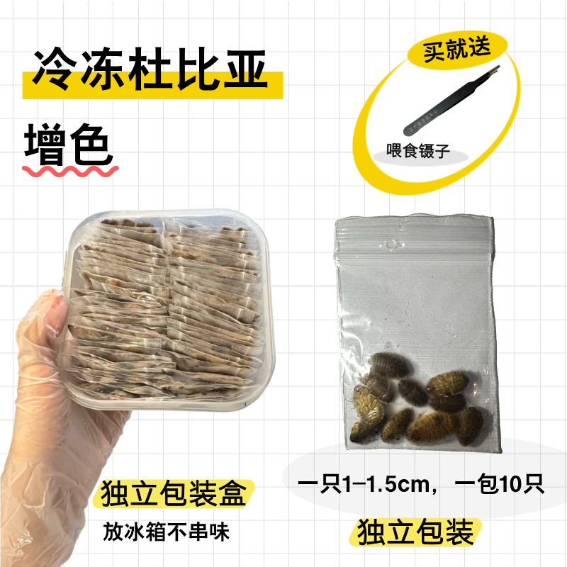 冷冻杜比亚 天然增色 雷龙鱼原生食材 促进鱼只增色增艳 
