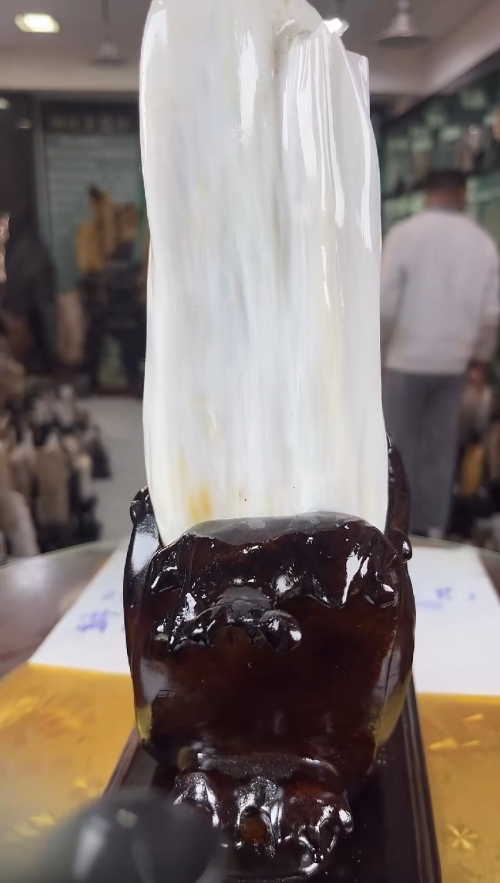 未镶嵌珠宝奇石硅化玉缅甸天然树化玉精品摆件