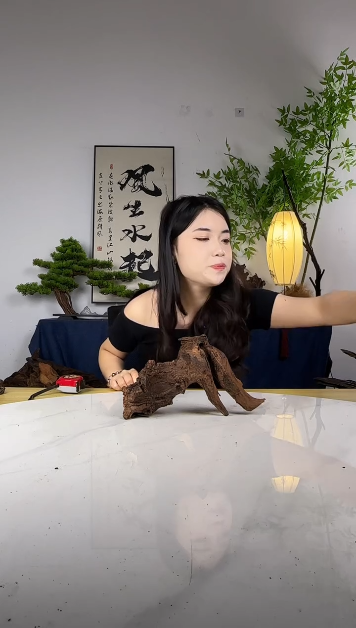 彩**南拍这个定向编号100