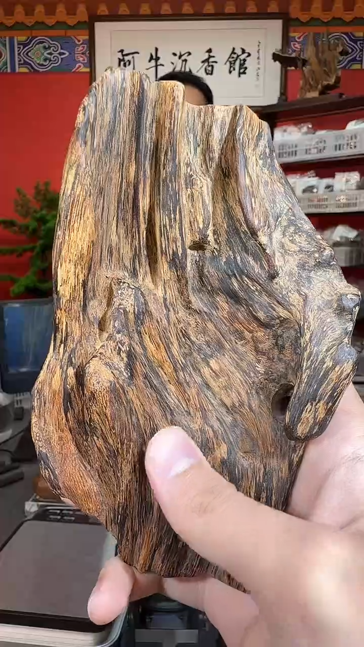 沉香吊坠56号黎母山152克多样性发一
