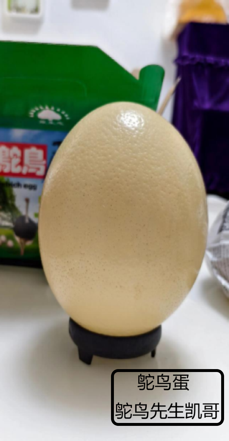 新鲜鸵鸟蛋农家散养顺丰包邮破损包赔送货上门