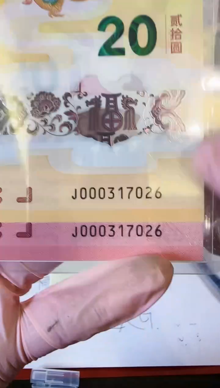 【闪购商品】塑料2025蛇钞全同号啊啊啊啊啊裸