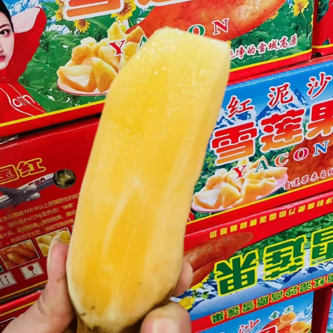 【云南雪莲果】一箱毛重5斤左右