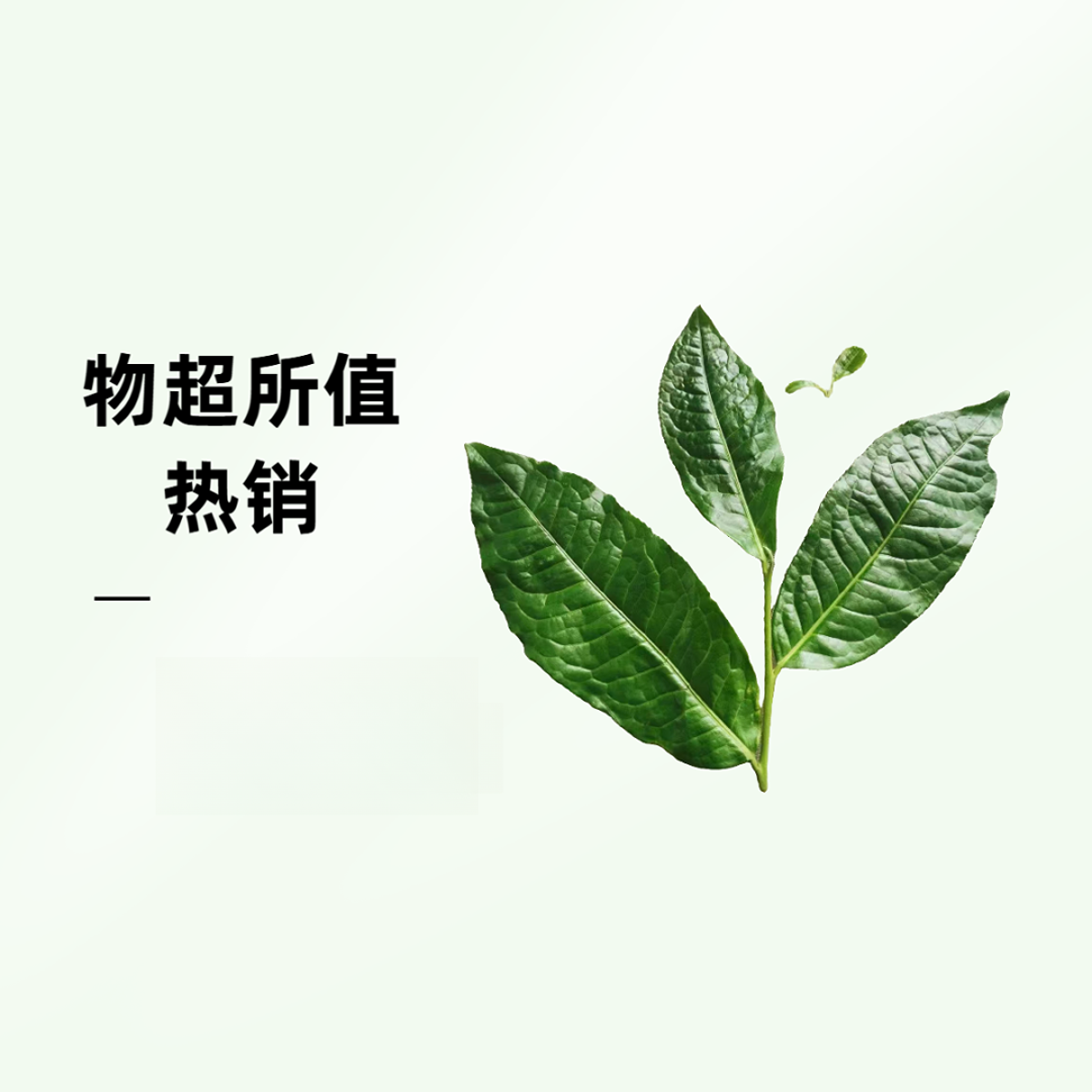 普洱茶各选拍链接