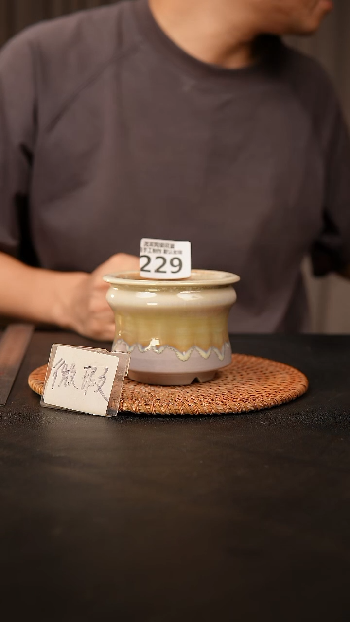 瓷片229 默认微瑕 口约8  高约7