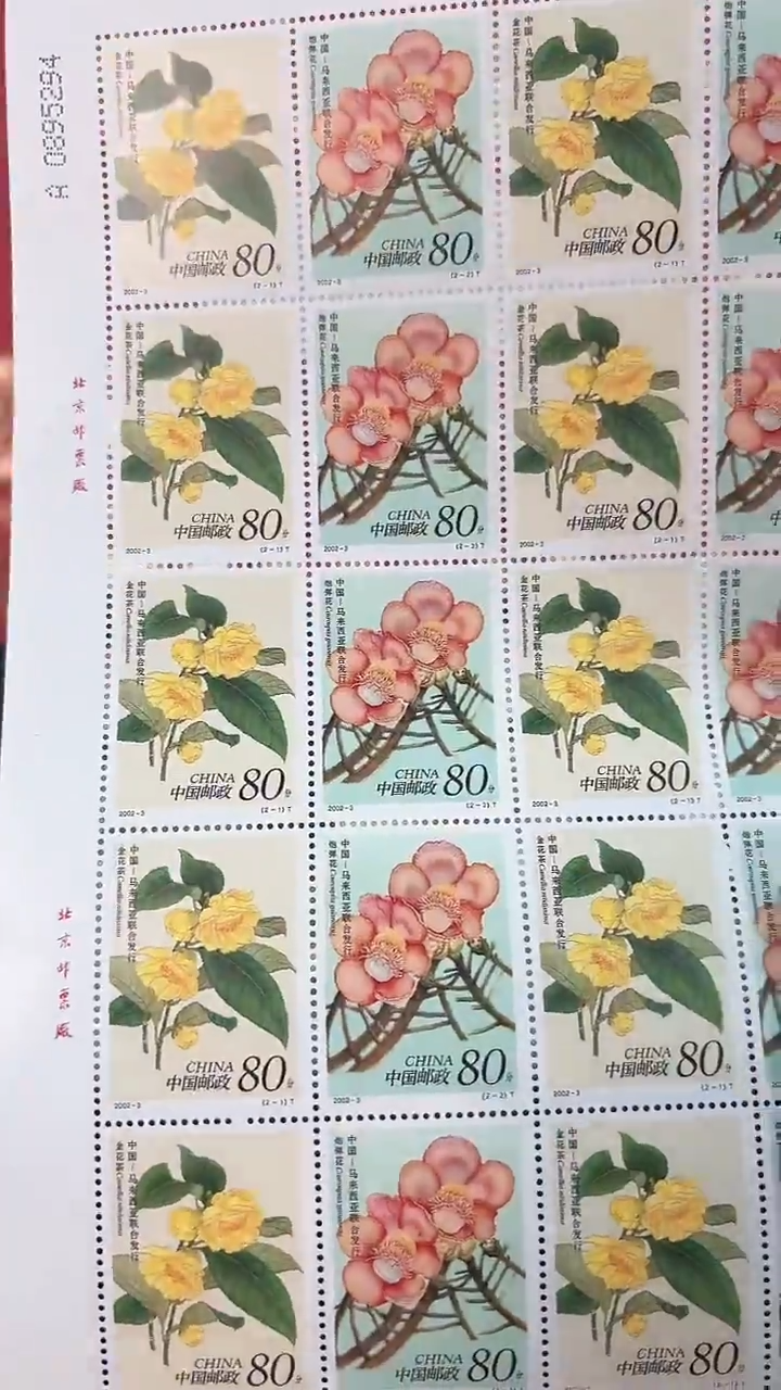 <珍稀花卉>大版 CSGS评级 邮票