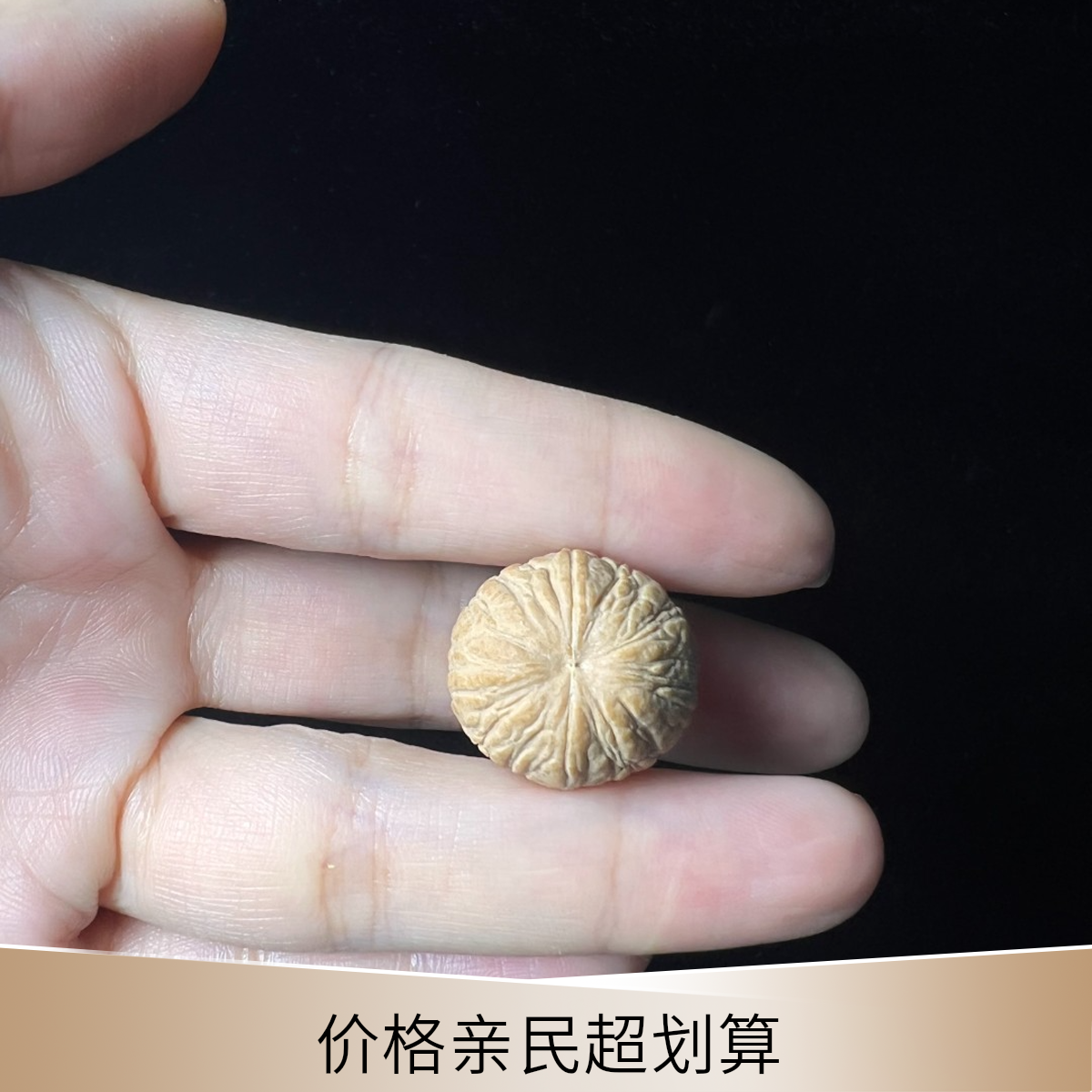 慢热散籽へ定制散籽土豪南瓜凤羽聚宝盆原皮单颗核农同园子山地籽