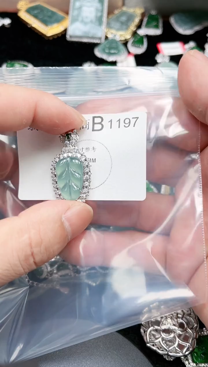 【闪购商品】翡翠颈饰未镶嵌赠皮绳1197