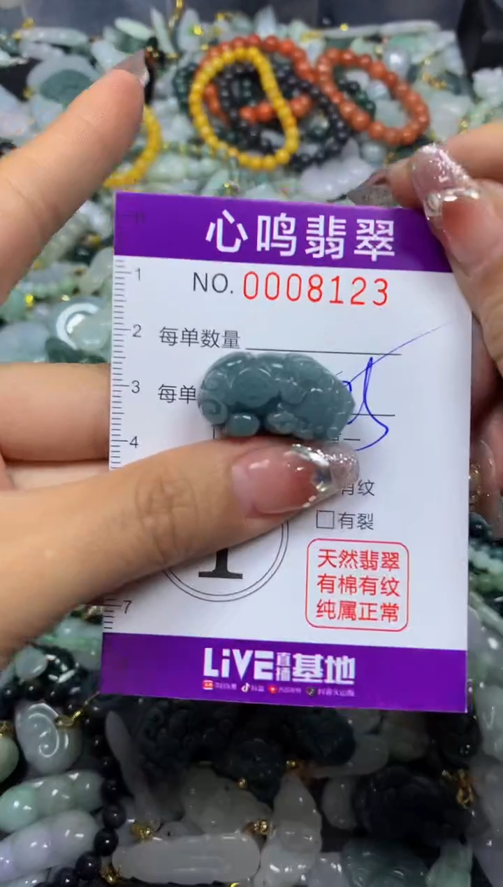 【闪购商品】翡翠颈饰未镶嵌闪购008123