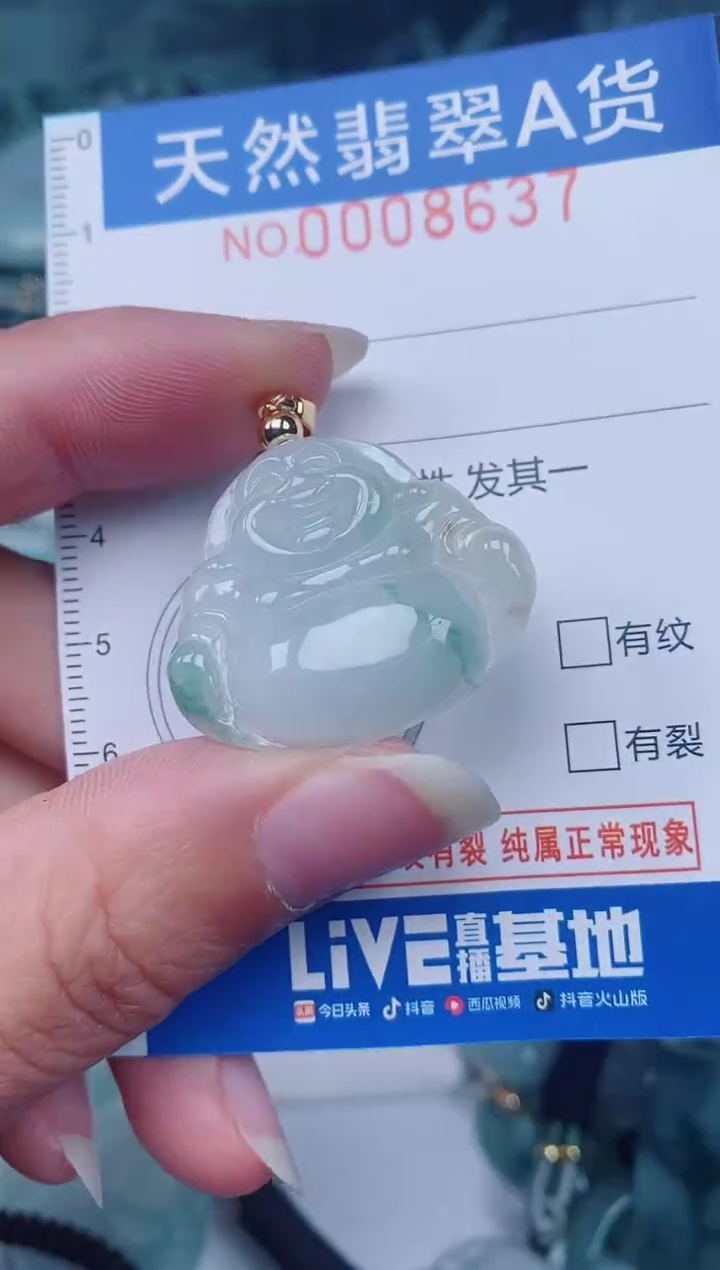 颈饰未镶嵌翡翠00008637