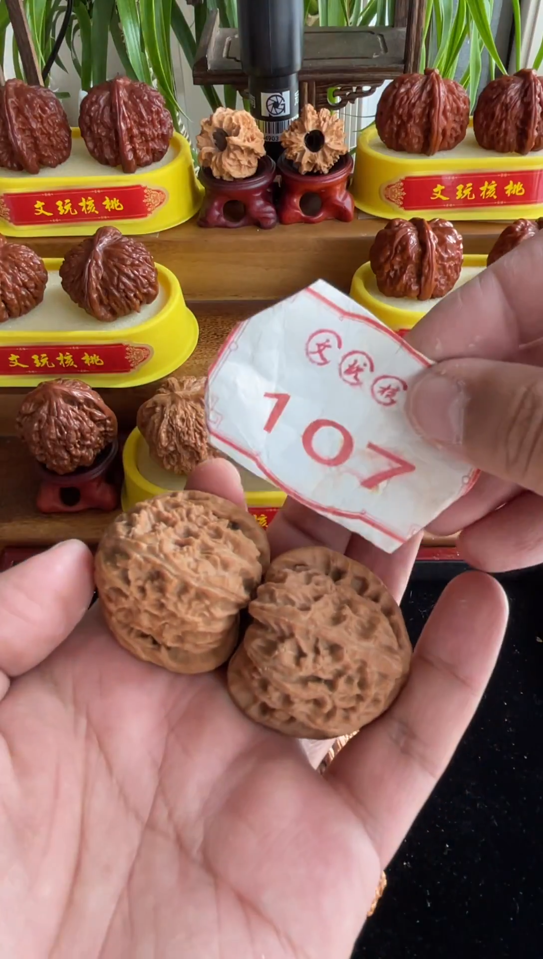 把件文玩核桃107-40mm三角白