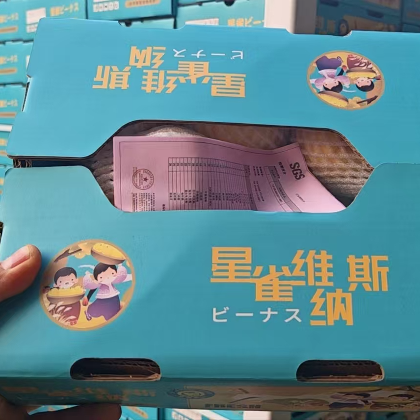 【江浙沪次日达】雀斑维纳斯苹果香气四溢蜜甜爽脆新鲜果肉细腻（11）