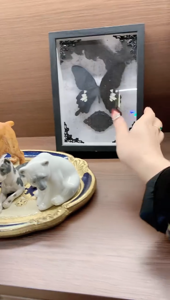 【闪购商品】瓷片 楚楚中古珠宝甄选不退换 