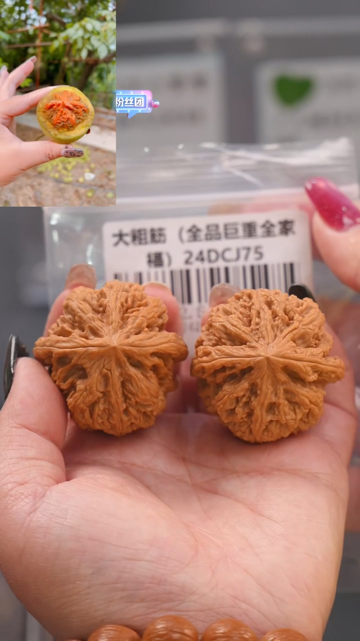 【闪购商品】文玩核桃吊坠42.5平谷粗筋（全品巨重）