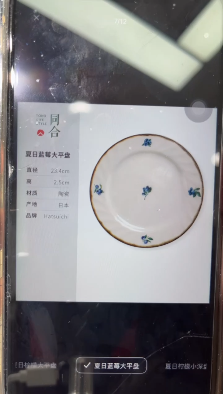 陶瓷孤品 夏日蓝莓大平盘