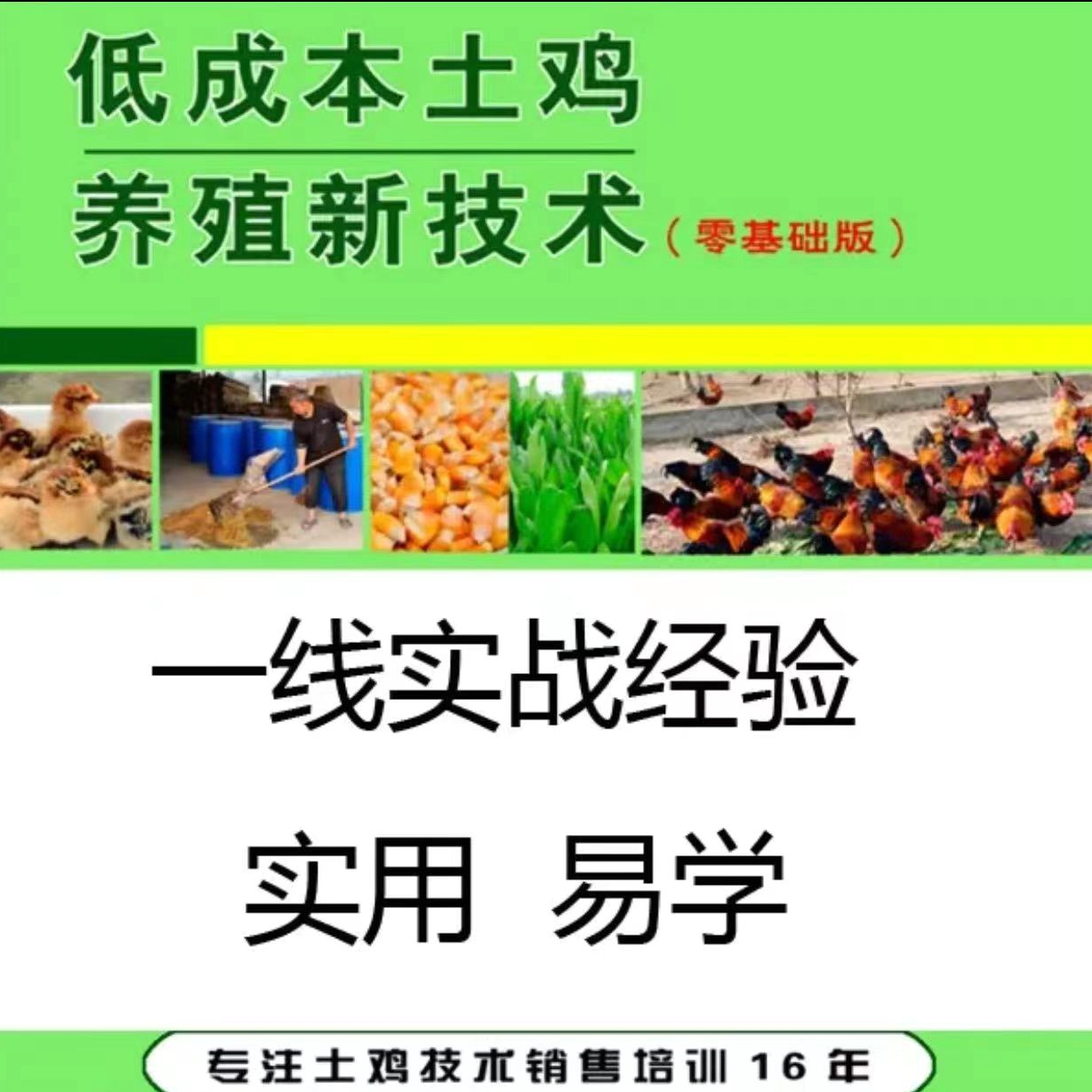 木子李教您低成本养土鸡鸡苗技术培训农村养鸡技术