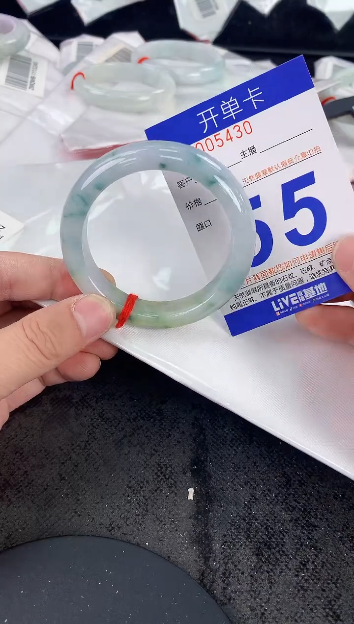 未镶嵌手镯翡翠雁AAAAAAAAAAAA