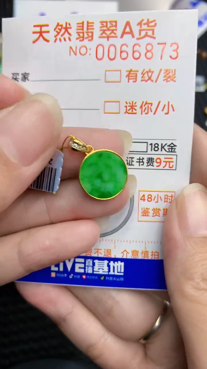 【闪购商品】翡翠颈饰银S925镶嵌            8