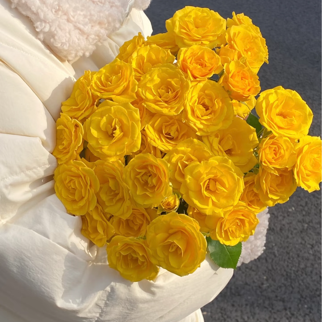 【品牌花】顺丰包邮家居办公生活花头小需要养护开方德多头玫瑰晴天10枝