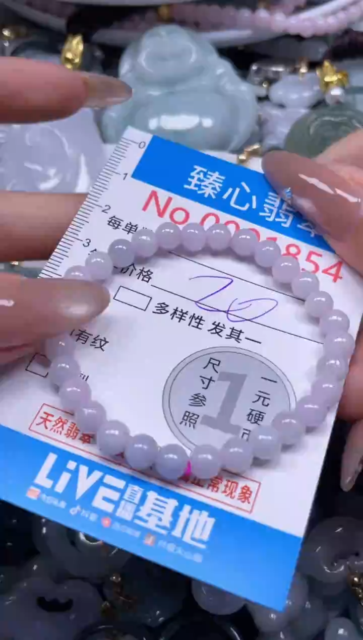 颈饰未镶嵌翡翠1854