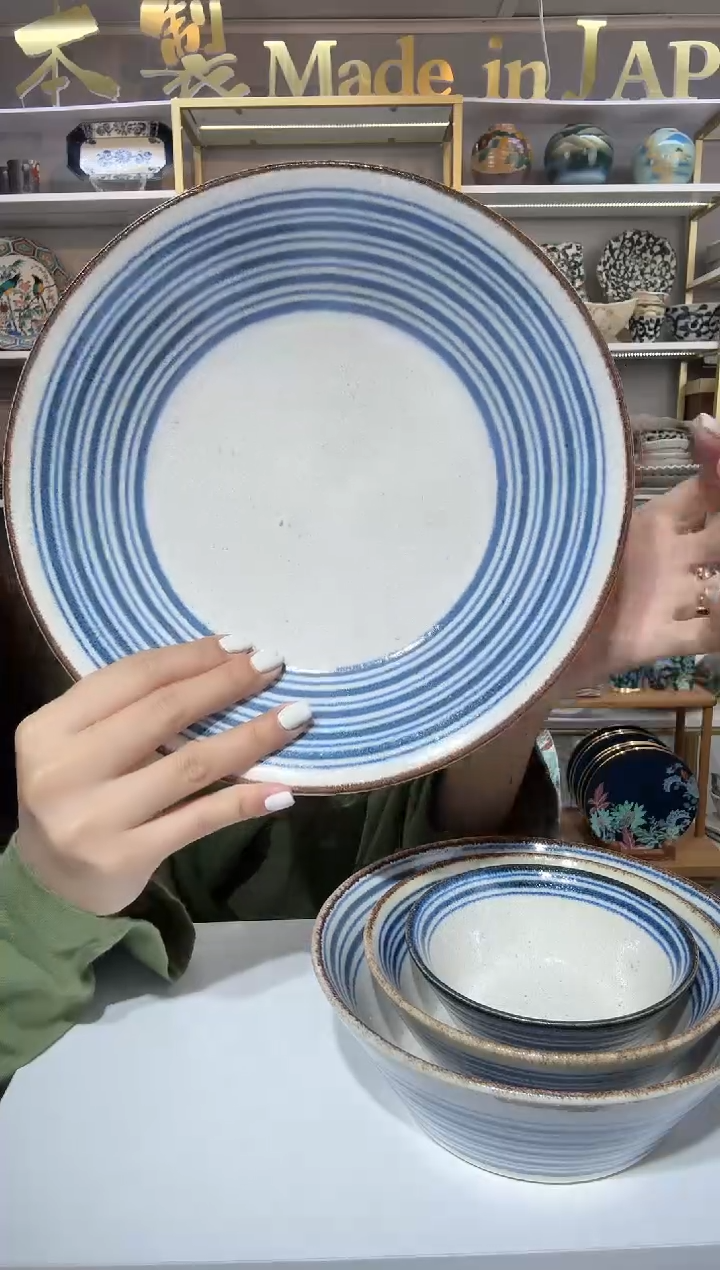 陶瓷南国之波平盘23.8cm一个