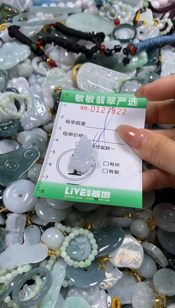 【闪购商品】翡翠颈饰未镶嵌闪购0127822