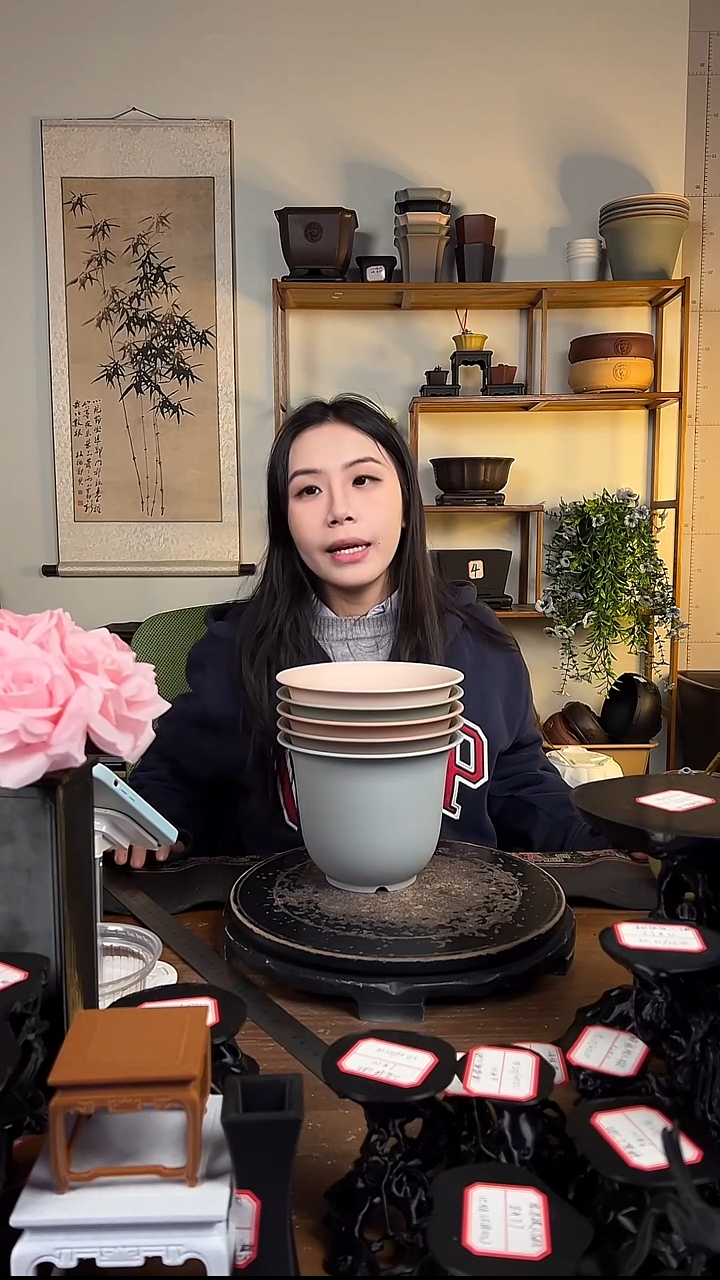 5只18口径金钟马卡龙色系