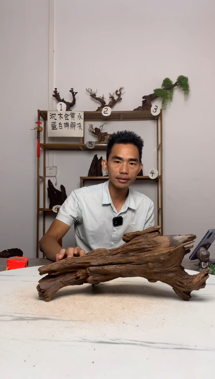 财*鱼缸造景沉木摆件