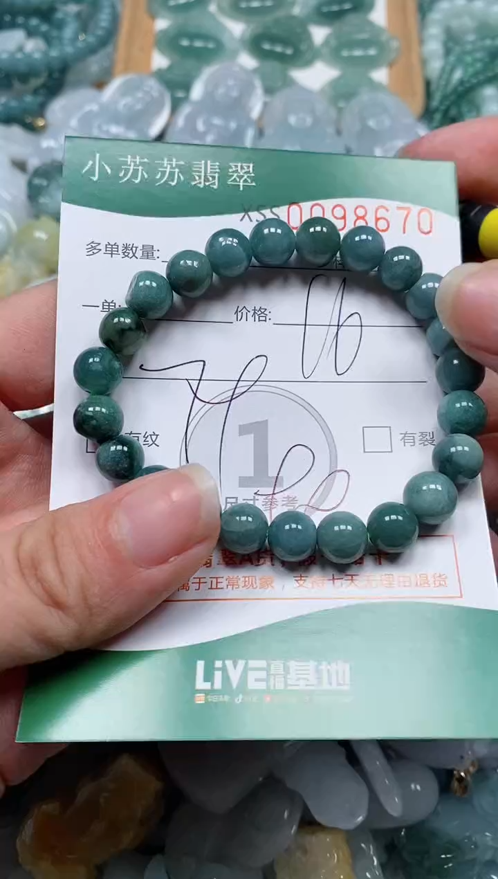 【闪购商品】翡翠颈饰未镶嵌闪购商品0098670