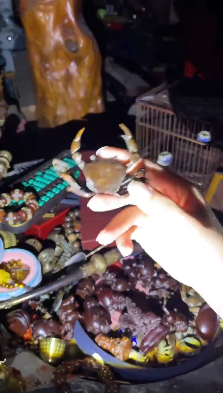 一一一一一一999红一