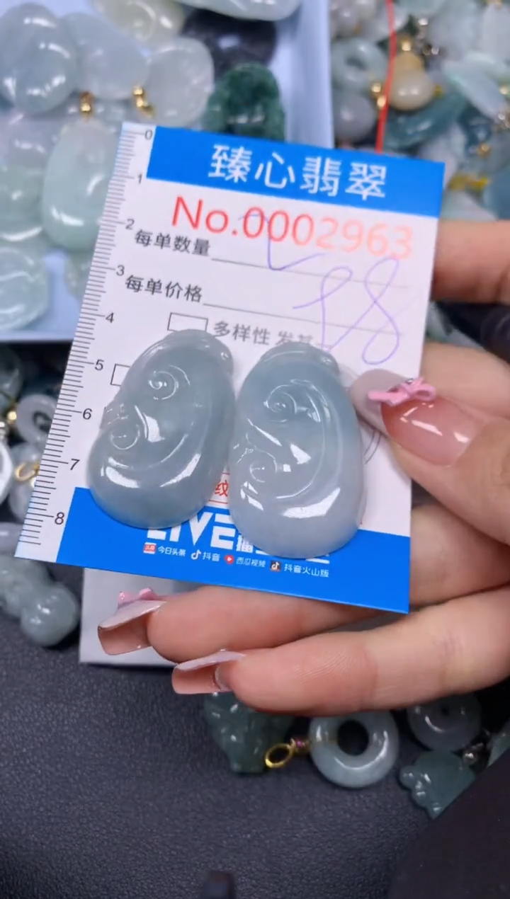 【闪购商品】翡翠颈饰未镶嵌含绳0002963