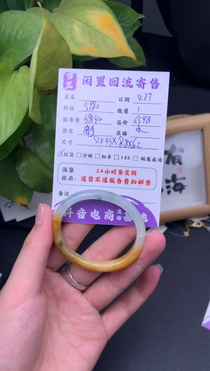 未镶嵌手镯翡翠手镯