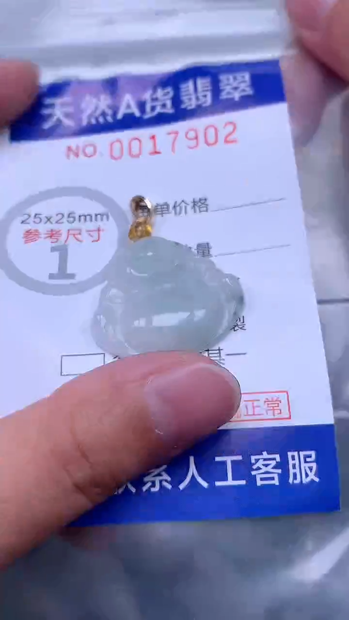 翡翠未镶嵌吊坠(不含链)1
