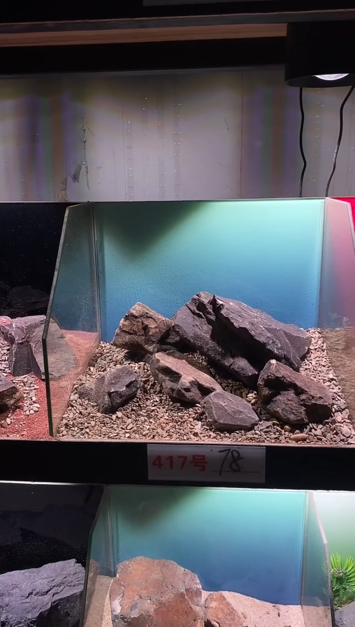 417号鱼缸造景（不含底砂）