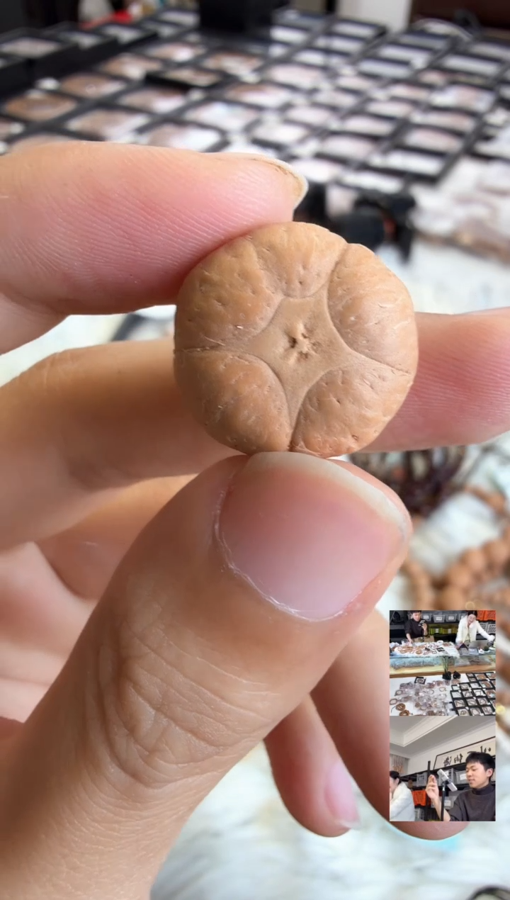 吊坠凤眼菩提4245三通，不给打孔了