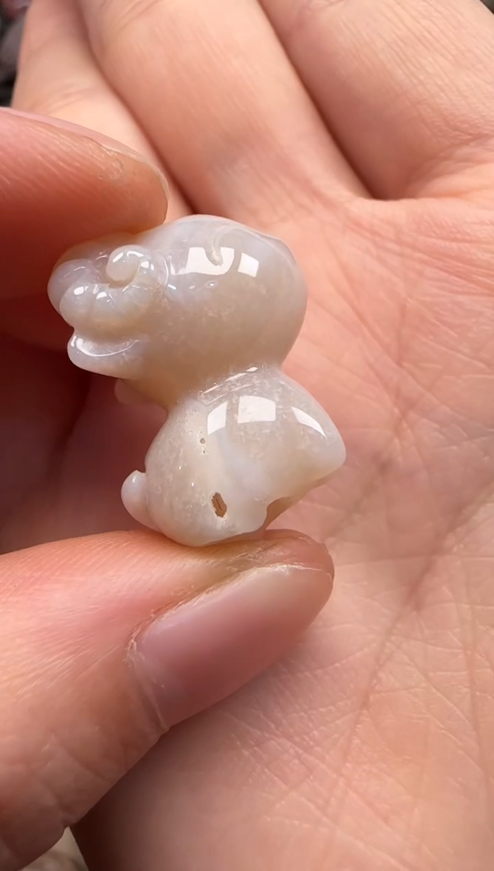 【闪购商品】硅化珊瑚（珊瑚玉）颈饰未镶嵌635