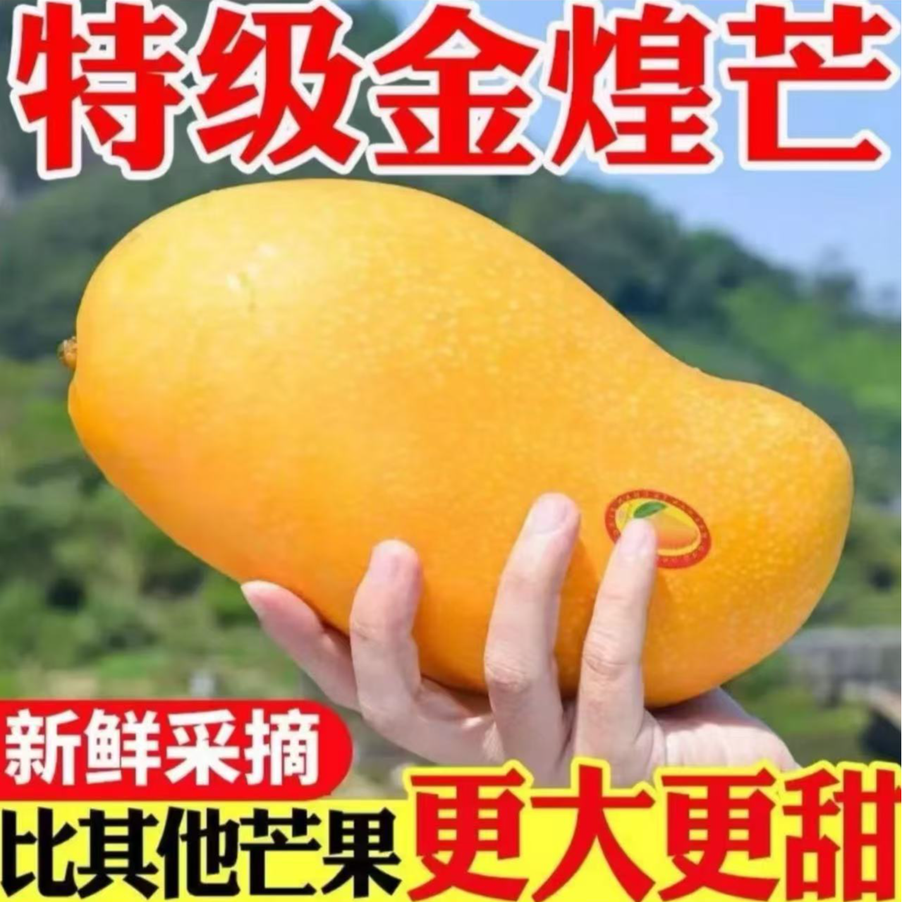 海南三亚金煌熟芒果核薄肉厚新鲜采摘快递包邮产地直发催熟食用