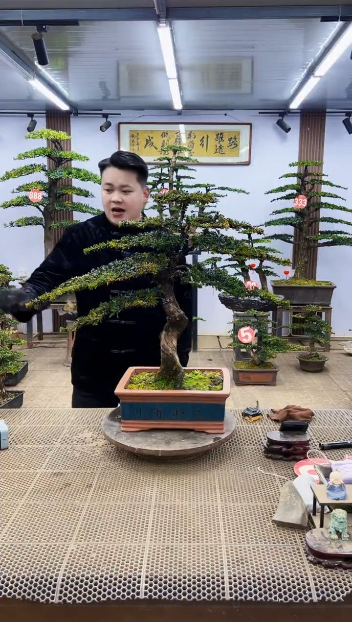 【闪购商品】000000000