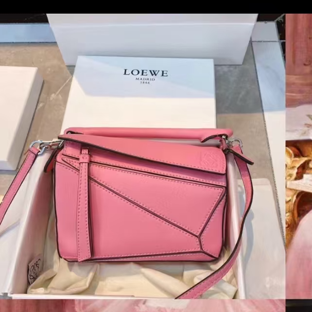 95新 LOEWE/罗意威 胖虎佳佳/箱包/两用包/31B2509240123