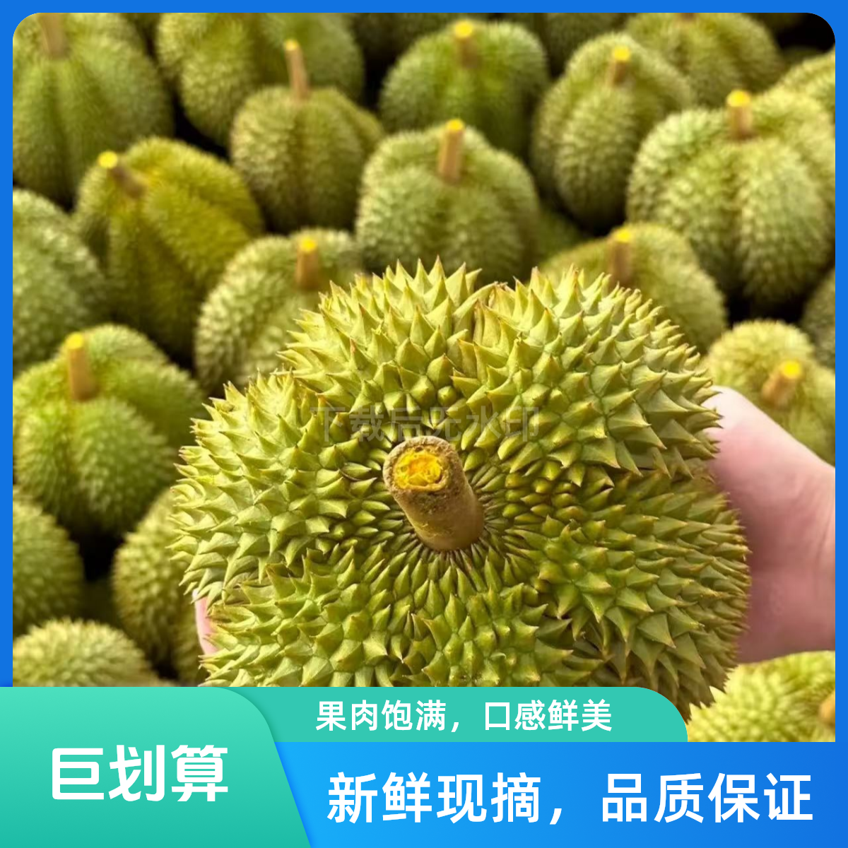 【特价整果福利 无法售后 新鲜榴莲】介意勿拍 斤核小无售|后金枕泰国金枕泰国榴莲同城送金枕泰国