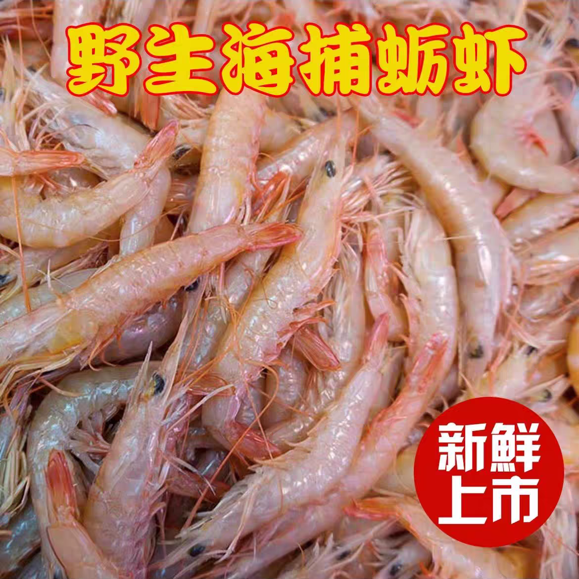 大连本地野生鹰爪虾/灯笼红  小虾介意勿拍 有掉头氧化易黑头
