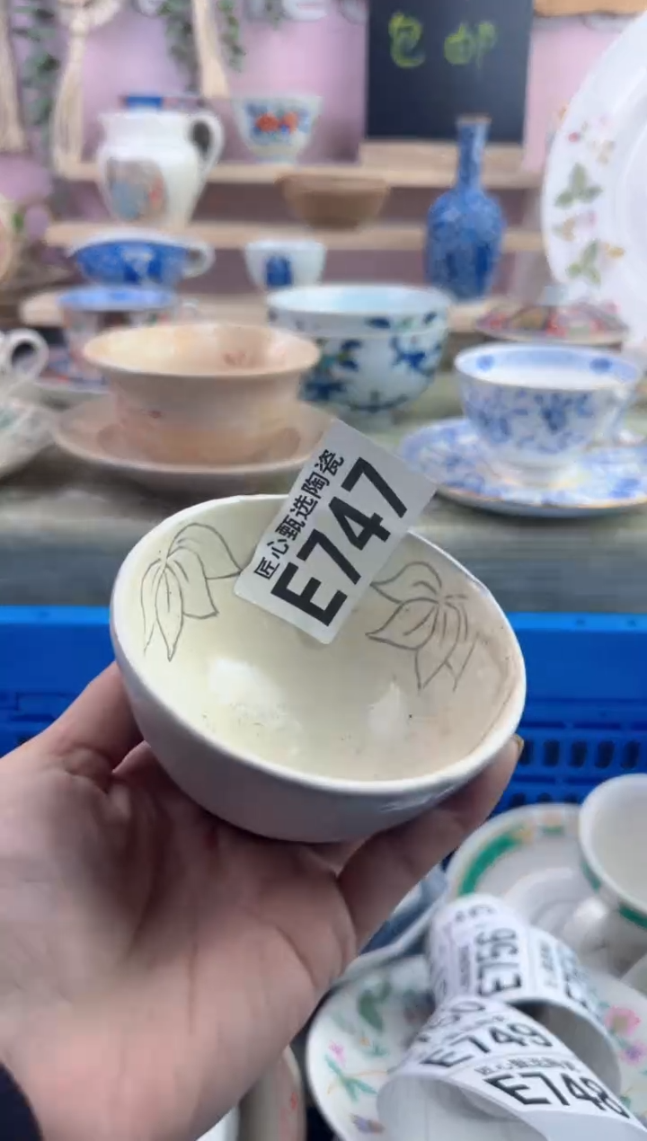 瓷片D?         E747