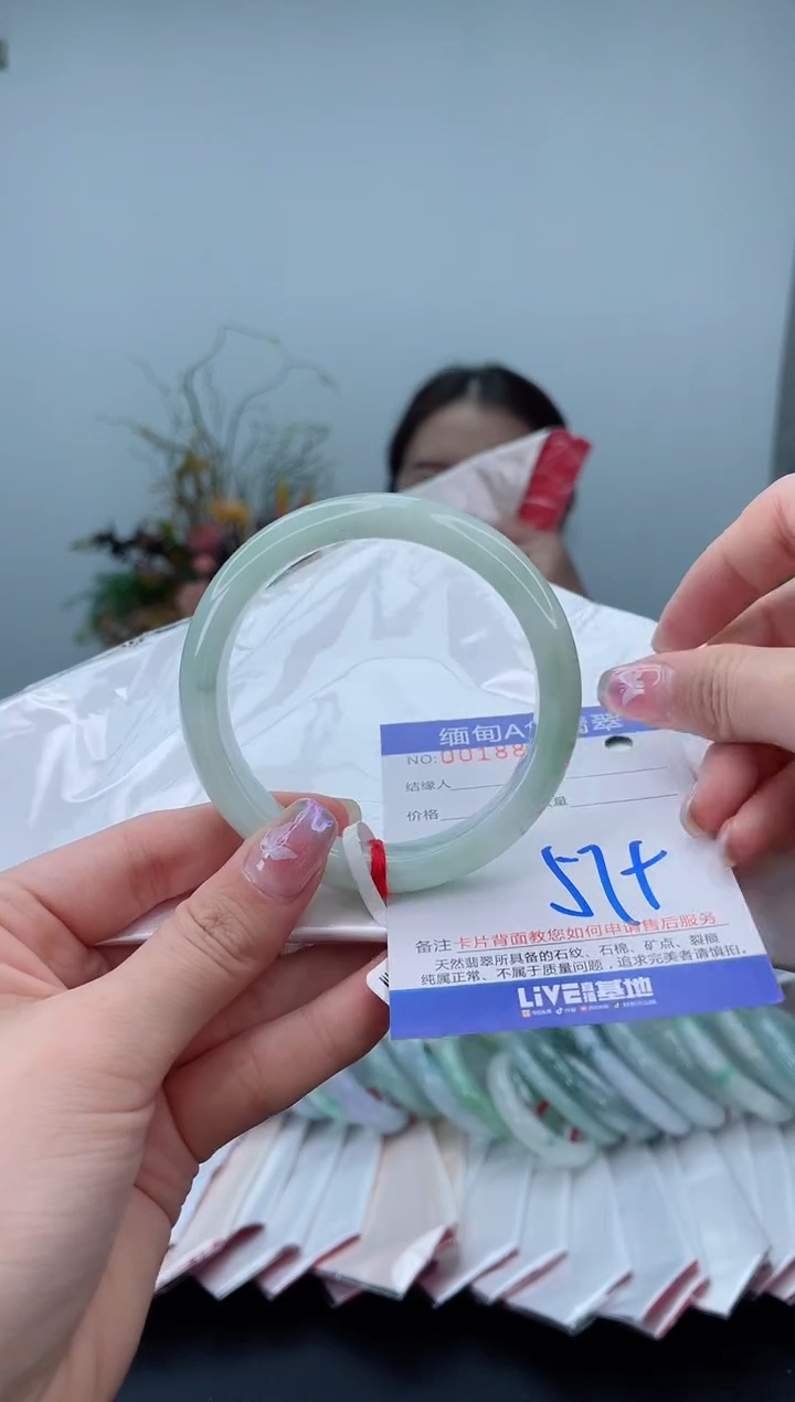 未镶嵌手镯翡翠5