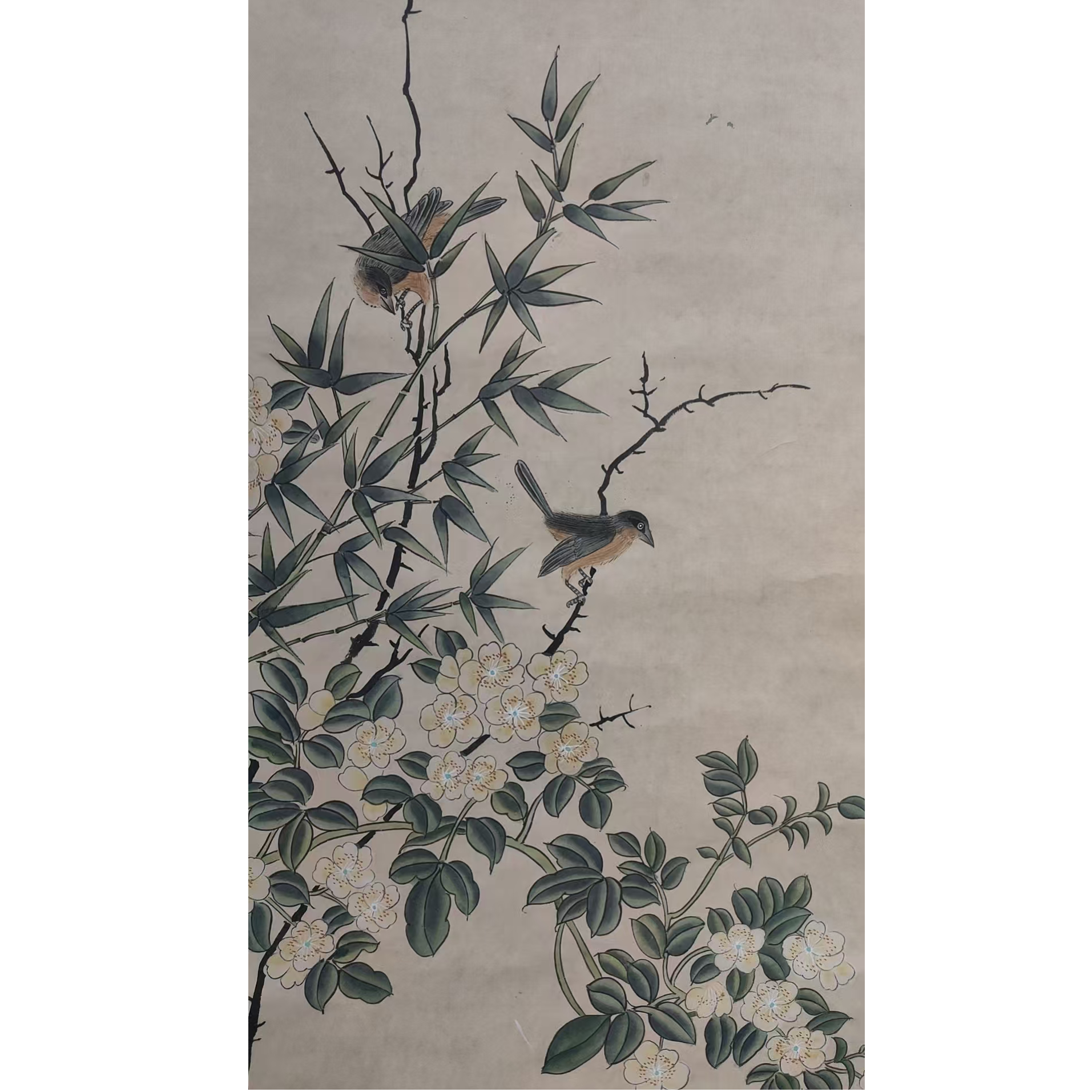 沈   花鸟立轴83/44