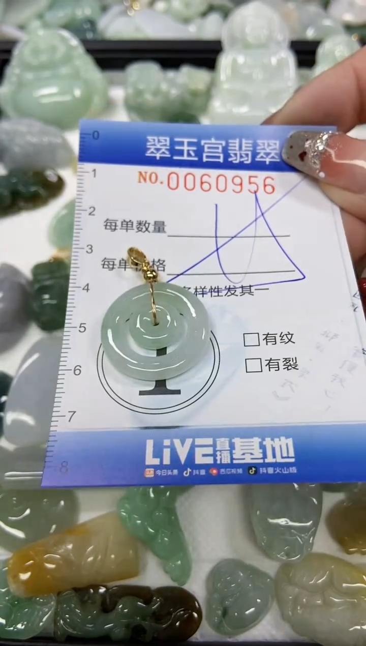 【闪购商品】翡翠颈饰未镶嵌闪购商品0060956多样性发其一