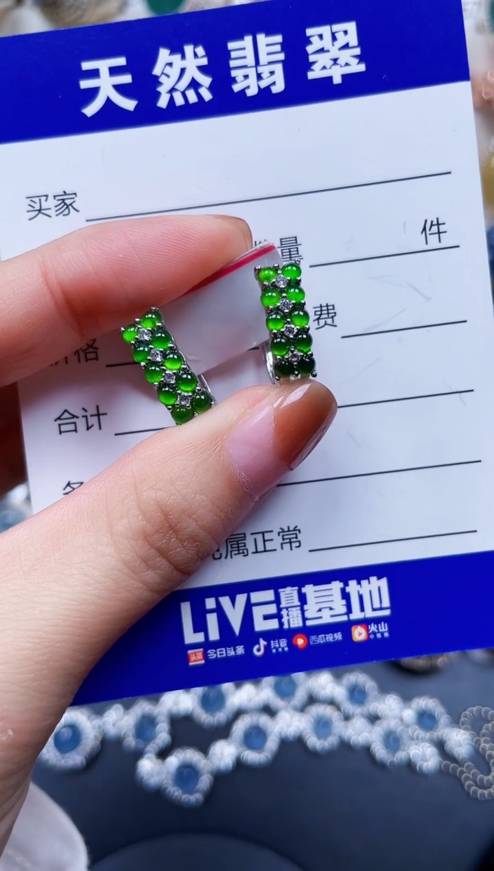 银S925镶嵌翡翠耳饰240