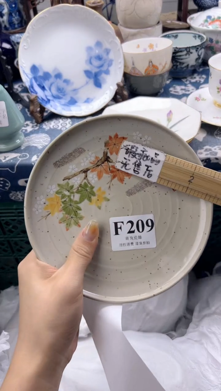 瓷片怡*    F209
