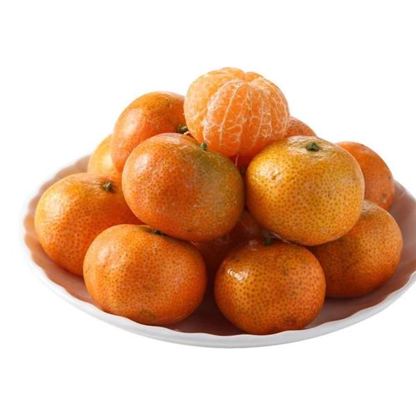 砂糖橘甜口顺丰包邮4斤净重