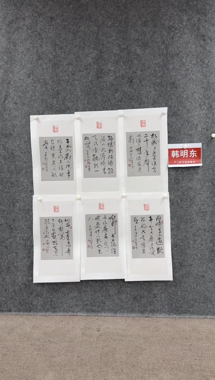 【闪购商品】书法pmw不二轩旗舰店书法韩明东28