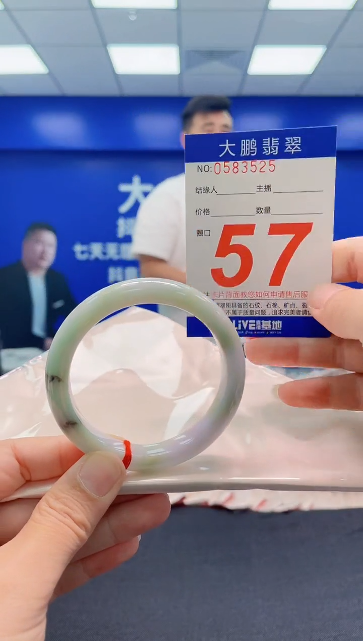 未镶嵌手镯翡翠AAAAAAAAA
